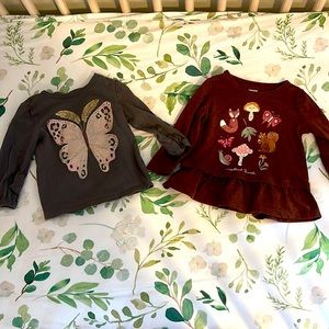Lot of Carters 12M shirts